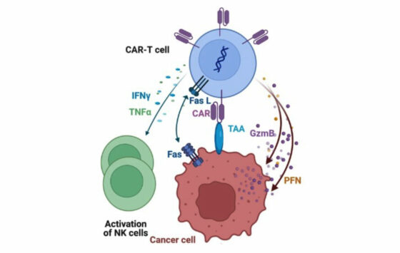 Ensuring CAR T Cell Quality